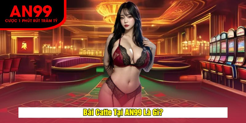 Bài Catte Tại AN99 Là Gì?