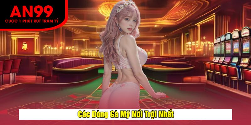 Các Dòng Gà Mỹ Nổi Trội Nhất