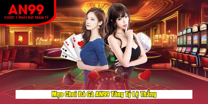 Mẹo Chơi Đá Gà AN99 Tăng Tỷ Lệ Thắng